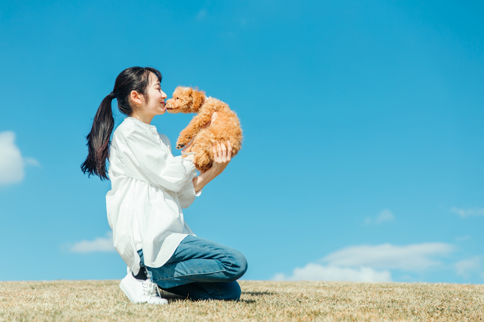 ペットと暮らす日本人独身者