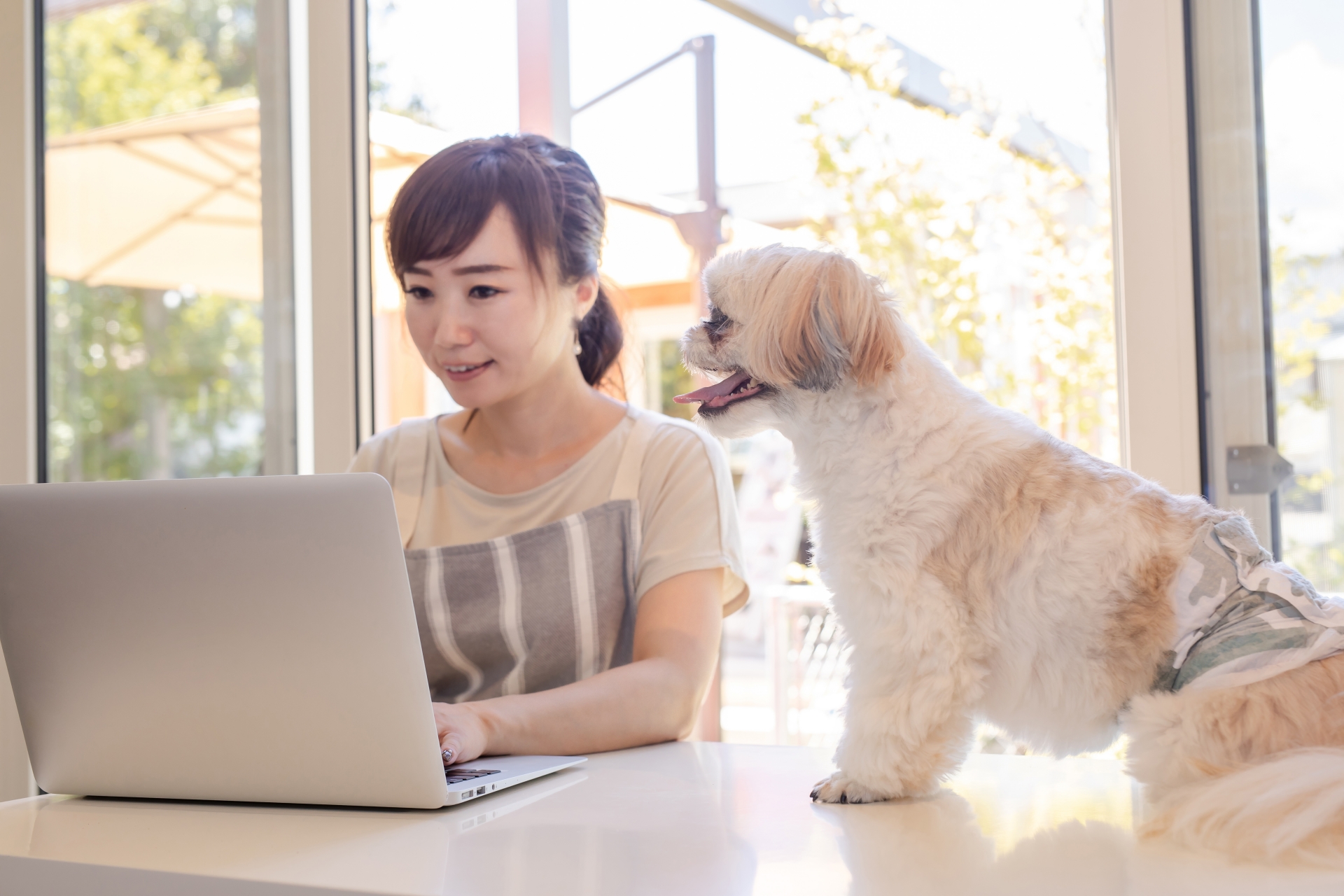 ペットを抱えて婚活する日本人独身者